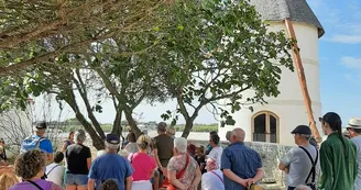 Journées du patrimoine de pays et des moulins