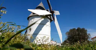 Journées du patrimoine de pays et des moulins