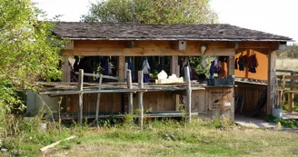 Exposition : Le baguage de A à Z