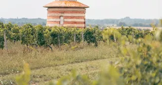 Croisières Loudenne II - Visite du château et dégustation
