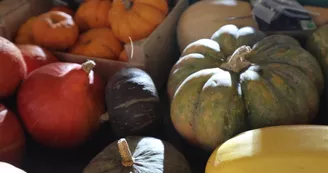 Origins Kraft Kitchen & Cocktails