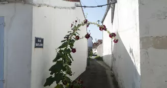 En Quête d'Estuaires - La Tremblade En Quête d'Estuaires - La Tremblade