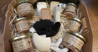 Plantes et Plumes : Elevage d'Autruches