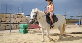 Elevage du Lac - Centre équestre