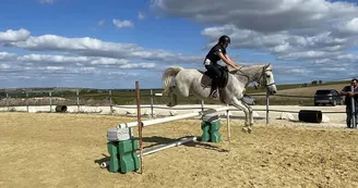 Elevage du Lac - Centre équestre