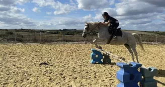 Elevage du Lac - Centre équestre