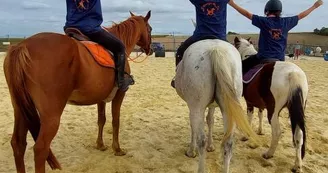 Elevage du Lac - Centre équestre