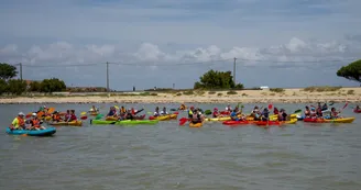 Location de kayak, paddle et paddle géant - Antioche Kayak