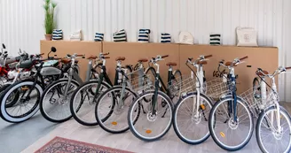 Fun and Classic Motors - Location de vélo électrique