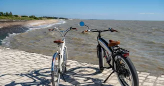 Fun and Classic Motors - Location de vélo électrique
