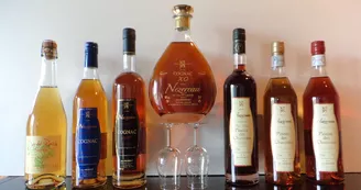 Vignoble Jean Nézereau