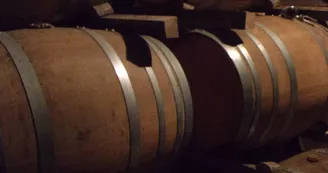 Vignoble Jean Nézereau