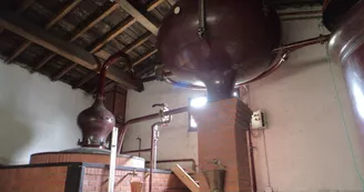 Vignoble Jean Nézereau