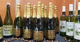 Chante Alouette - Vignoble