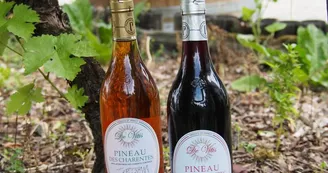 De Vitis, famille Quéron - Vignoble