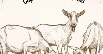 Copains comme caprins