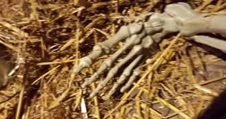 Escape Game | L'héritage du flibustier