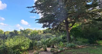 Les jardins de l'âme cham