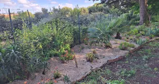 Les jardins de l'âme cham