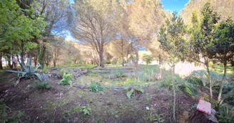 Les jardins de l'âme cham