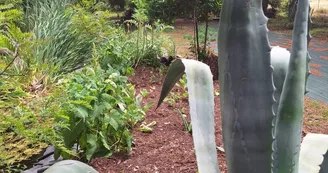 Les jardins de l'âme cham