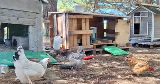 Les jardins de l'âme cham