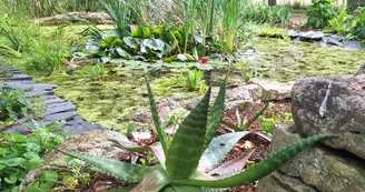 Les jardins de l'âme cham