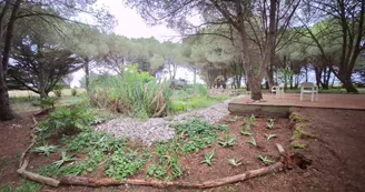 Les jardins de l'âme cham