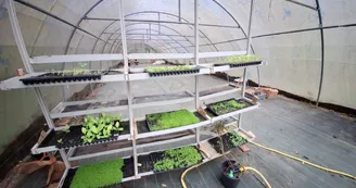 Les jardins de l'âme cham