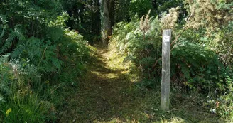 Les Brandes de Soyaux