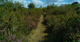 Les Brandes de Soyaux