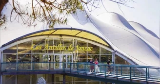 Activité École de l'eau des Antilles de Jonzac