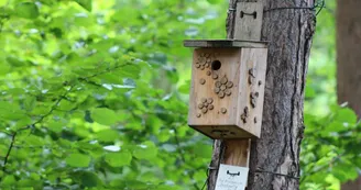 Beauchaud Patrick - fabricant de nichoirs