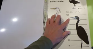 Espace d'accueil et muséographique de la réserve naturelle de Moëze-Oléron