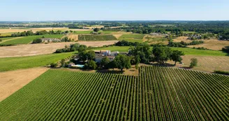 Distillerie Martinaud