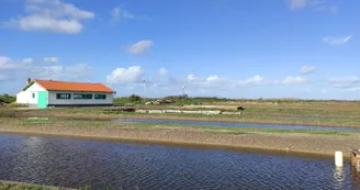 EARL Les Perles du Marais - Tom Vergnaud