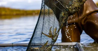 EARL Les Perles du Marais - Tom Vergnaud