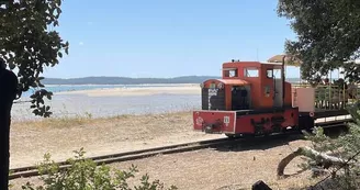 Chasse aux trésors ONF - Les secrets des palissades - Saint-trojan-les-Bains