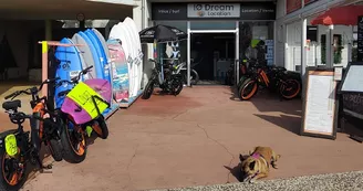 IO Dream Location - Location de vélos électriques et matériel de surf