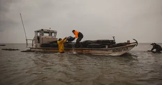 Les Huitres Rousselot