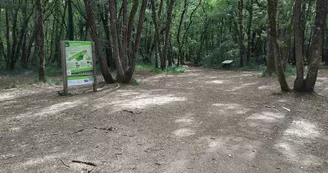 Parcours Explorama - Forêt de Benon