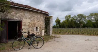 vignoble Chauraud et fils