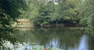 Cours de Yoga adultes - Association YogaVasant