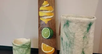 Showroom - M.A.C.A.dames