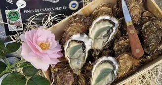 Huîtres Massé
