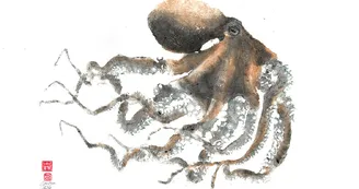 Exposition autour du Gyotaku traditionnel