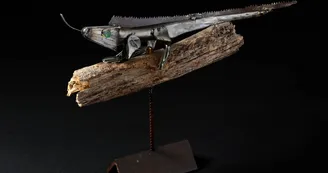 L'expo du Comptoir - Laurent JOUBEAUX