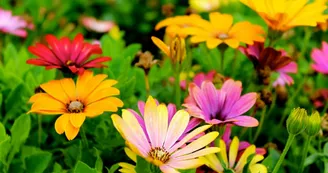 Exposition 'Jardiner naturellement'