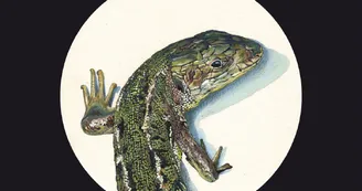 Exposition de peinture naturaliste Pierre-Yves Bonnot