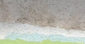 Exposition - À fleurs de papiers